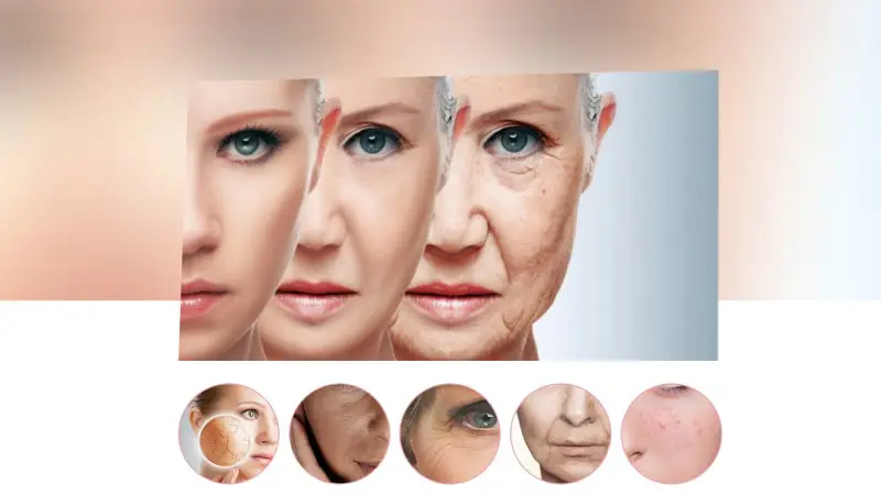 Skin regeneration (1)
