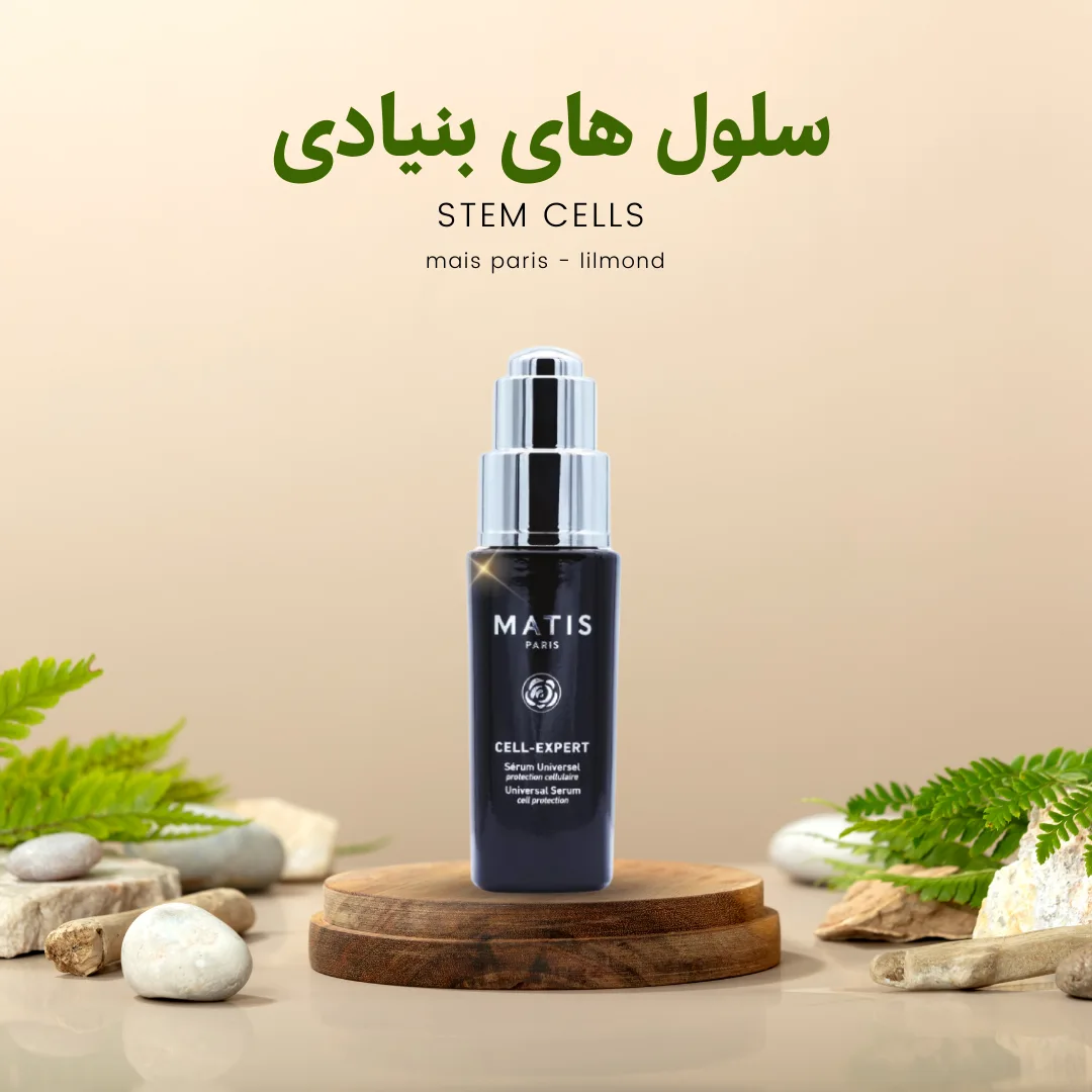 سلول های بنیادی