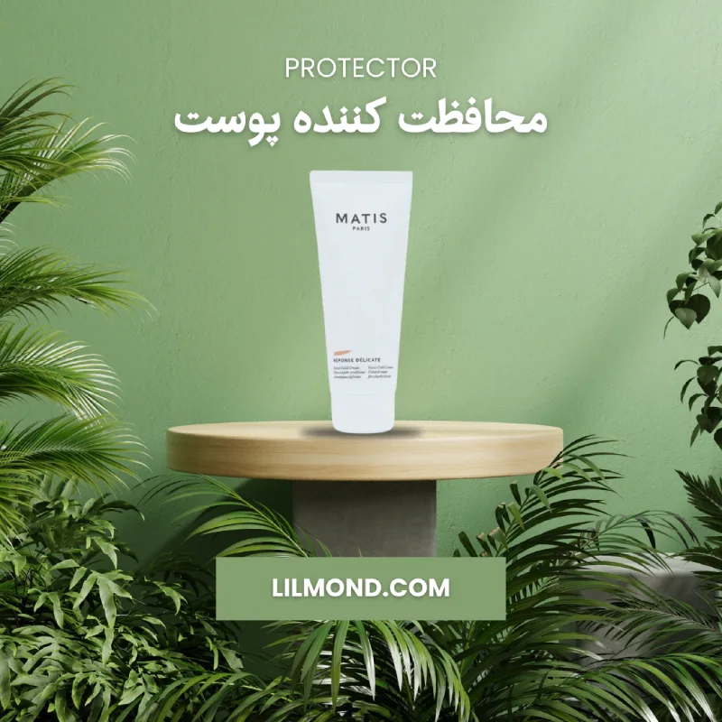 محافظت کننده