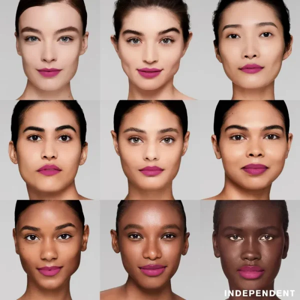 Estée Lauder Pure Color Matte Lipstick